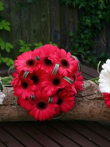 Preview wallpaper gerbera, flowers, white, red, timber