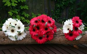 Preview wallpaper gerbera, flowers, white, red, timber