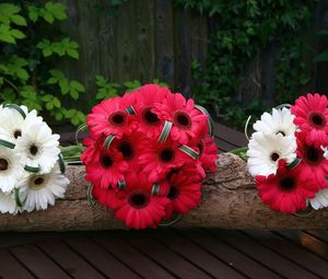 Preview wallpaper gerbera, flowers, white, red, timber