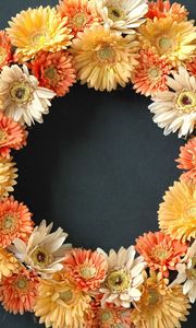 Preview wallpaper gerbera, flowers, wreath, surface