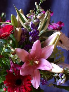 Preview wallpaper gerbera, lily, alstroemeria, flowers, bouquets, composition