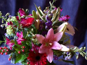 Preview wallpaper gerbera, lily, alstroemeria, flowers, bouquets, composition