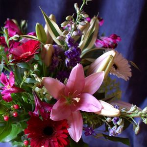 Preview wallpaper gerbera, lily, alstroemeria, flowers, bouquets, composition