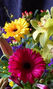 Preview wallpaper gerbera, orchids, flowers, bouquet, design, composition