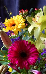 Preview wallpaper gerbera, orchids, flowers, bouquet, design, composition