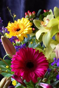 Preview wallpaper gerbera, orchids, flowers, bouquet, design, composition