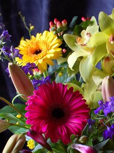 Preview wallpaper gerbera, orchids, flowers, bouquet, design, composition