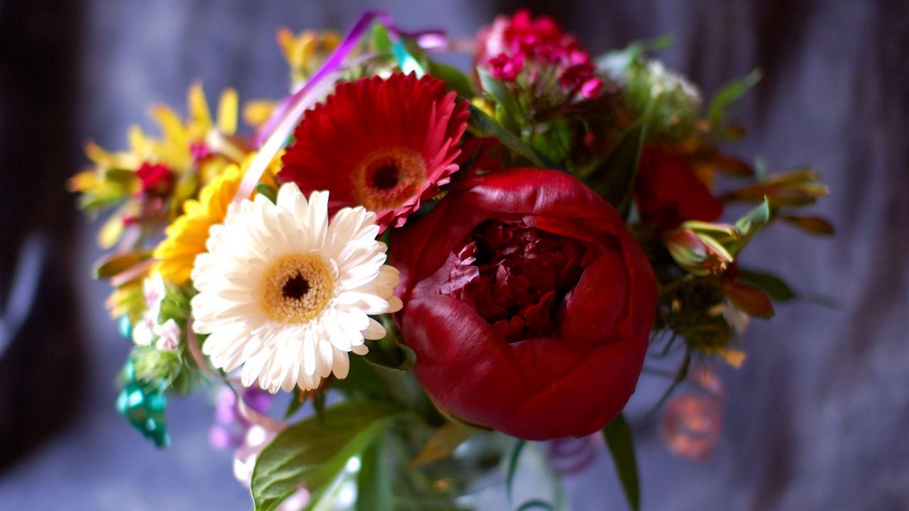 Wallpaper gerbera, peony, bud, flower, bouquet, decoration