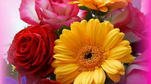 Preview wallpaper gerbera, roses, bouquet, close-up