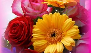 Preview wallpaper gerbera, roses, bouquet, close-up