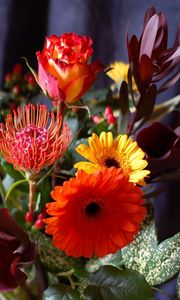 Preview wallpaper gerbera, roses, calla lilies, flowers, bouquets, composition, leaves