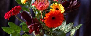 Preview wallpaper gerbera, roses, calla lilies, flowers, bouquets, composition, leaves