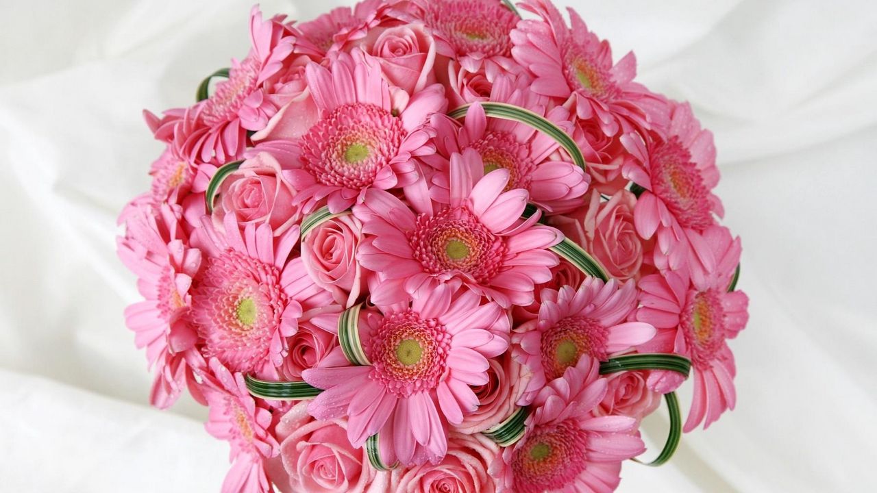 Wallpaper gerbera, roses, flowers, pink, flower, tenderness