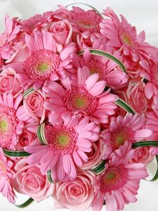 Preview wallpaper gerbera, roses, flowers, pink, flower, tenderness