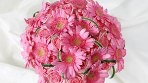 Preview wallpaper gerbera, roses, flowers, pink, flower, tenderness