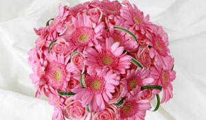 Preview wallpaper gerbera, roses, flowers, pink, flower, tenderness