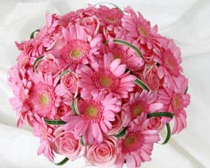 Preview wallpaper gerbera, roses, flowers, pink, flower, tenderness