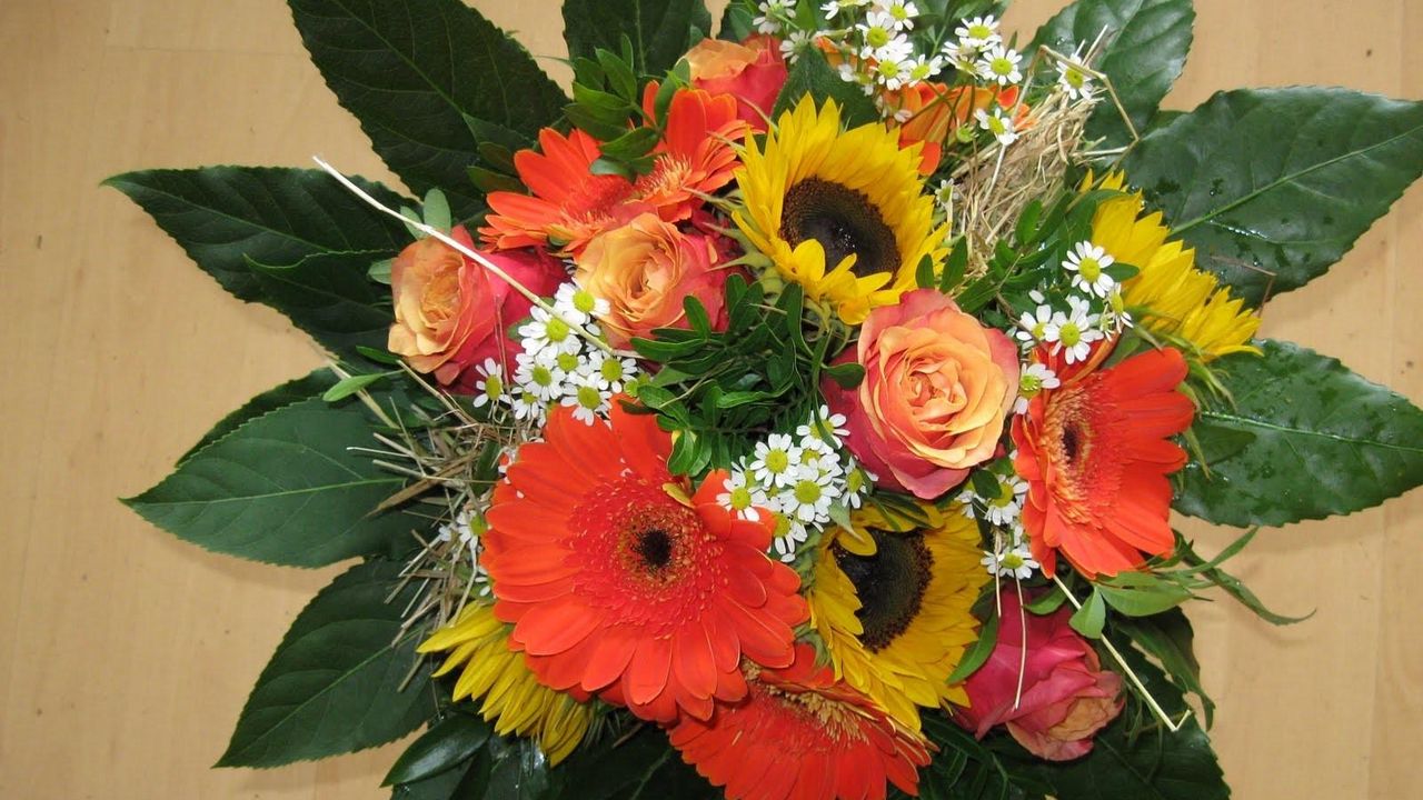 Wallpaper gerbera, roses, sunflowers, chamomile, flower, decoration