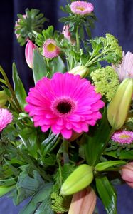 Preview wallpaper gerbera, tulips, flower, buds, bouquet, herb, composition