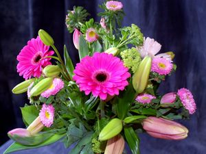 Preview wallpaper gerbera, tulips, flower, buds, bouquet, herb, composition