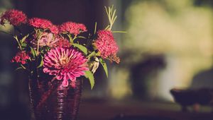 Preview wallpaper gerbera, vase, petals