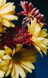 Preview wallpaper gerberas, bouquet, composition