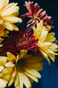 Preview wallpaper gerberas, bouquet, composition