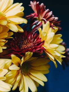 Preview wallpaper gerberas, bouquet, composition