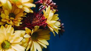 Preview wallpaper gerberas, bouquet, composition