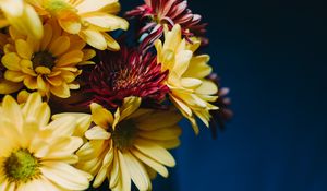 Preview wallpaper gerberas, bouquet, composition