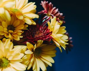 Preview wallpaper gerberas, bouquet, composition