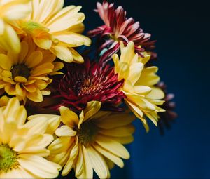 Preview wallpaper gerberas, bouquet, composition