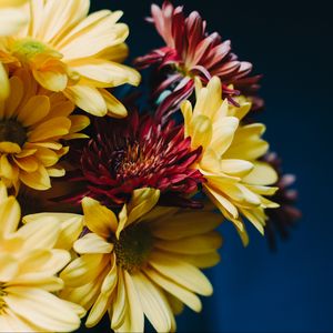 Preview wallpaper gerberas, bouquet, composition