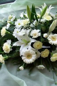 Preview wallpaper gerberas, carnations, lilies, gypsophila, composition, beautiful