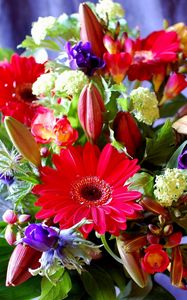 Preview wallpaper gerberas, lilies, buds, freesia, greens, bouquet, composition