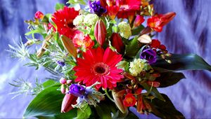 Preview wallpaper gerberas, lilies, buds, freesia, greens, bouquet, composition