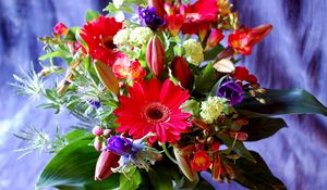 Preview wallpaper gerberas, lilies, buds, freesia, greens, bouquet, composition