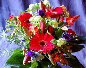 Preview wallpaper gerberas, lilies, buds, freesia, greens, bouquet, composition