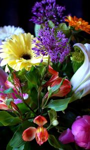 Preview wallpaper gerberas, lilies, flowers, bouquets, composition, greens