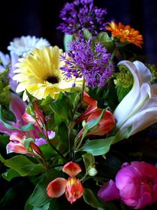 Preview wallpaper gerberas, lilies, flowers, bouquets, composition, greens