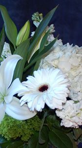 Preview wallpaper gerberas, lilies, hydrangeas, flowers, bouquet, white