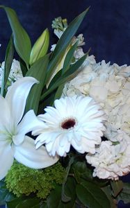 Preview wallpaper gerberas, lilies, hydrangeas, flowers, bouquet, white