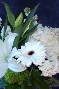 Preview wallpaper gerberas, lilies, hydrangeas, flowers, bouquet, white