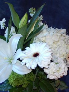 Preview wallpaper gerberas, lilies, hydrangeas, flowers, bouquet, white