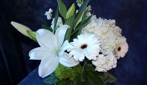 Preview wallpaper gerberas, lilies, hydrangeas, flowers, bouquet, white