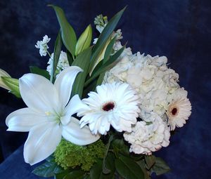 Preview wallpaper gerberas, lilies, hydrangeas, flowers, bouquet, white