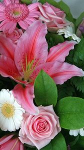 Preview wallpaper gerberas, lilies, roses, flower, leaf