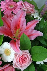 Preview wallpaper gerberas, lilies, roses, flower, leaf