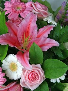 Preview wallpaper gerberas, lilies, roses, flower, leaf