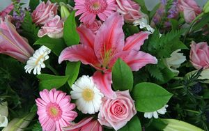 Preview wallpaper gerberas, lilies, roses, flower, leaf